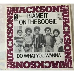 The Jacksons ‎– Blame It On The Boogie / Do What You Wanna